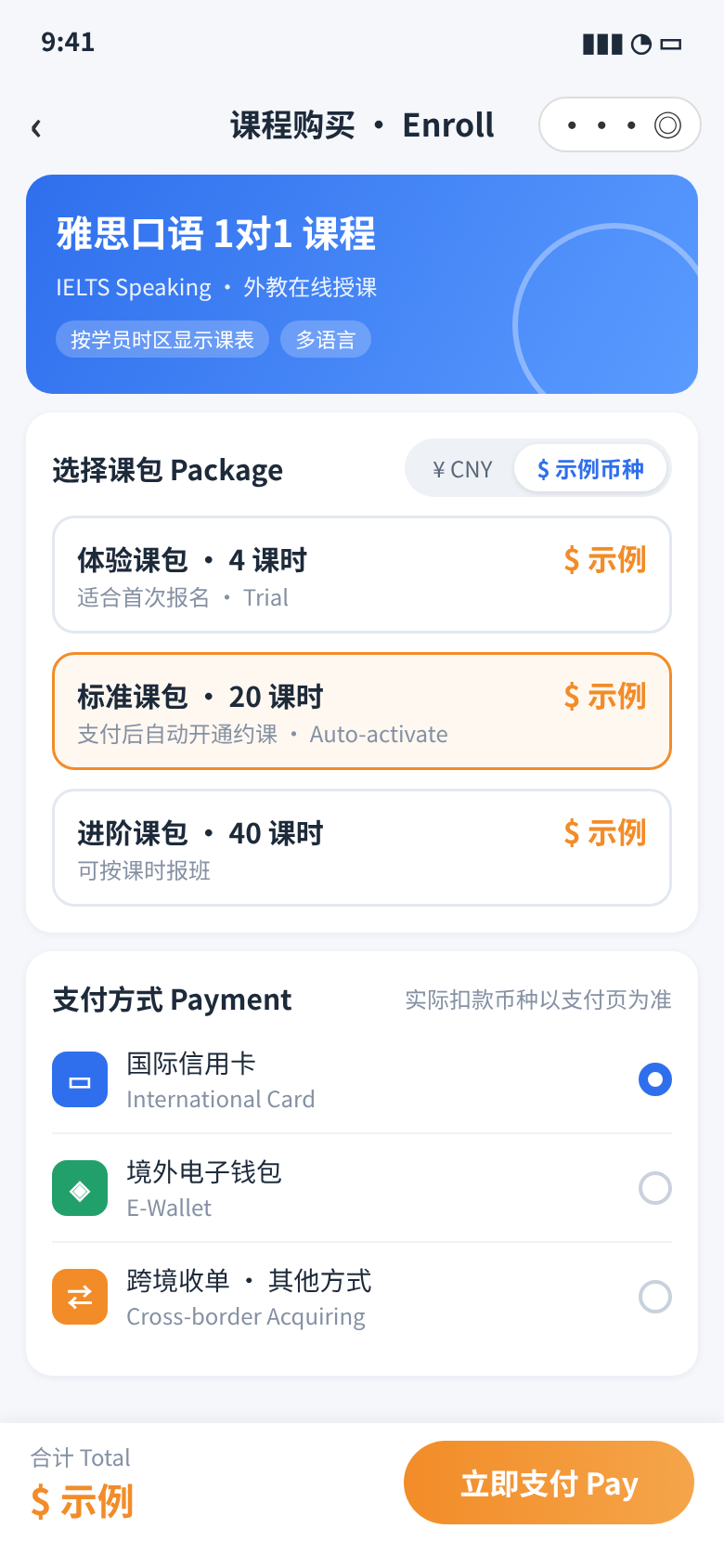 海外支付接入
